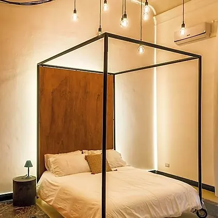 Couette-café 4 Elementi 4*